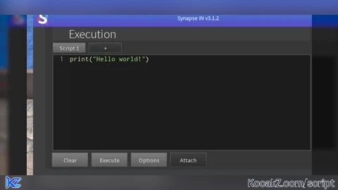 Synapse iN (Internal) - Verified script for Universal Script