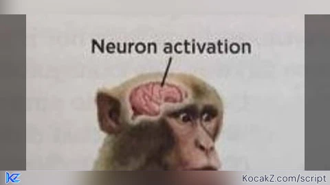 Cartola Hub  Desync OP - Verified script for Steal a Brainrot