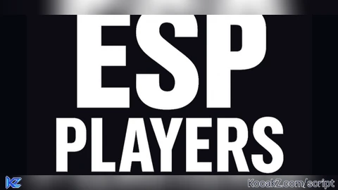 [ NEW ] Esp Players - Verified script for Universal Script