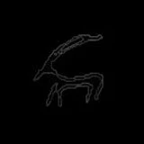 KamScript