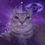 lynxnewbie