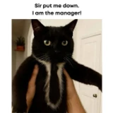 STRID3R