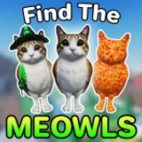 Find The Meowls [100]