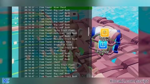 Collect Items